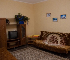 1-комнатная квартира на Дзержинского 24 (№ 537)