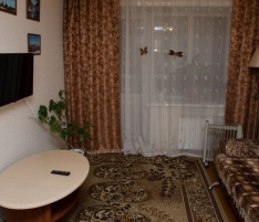 1-комнатная квартира на Дзержинского 20 (№ 554)