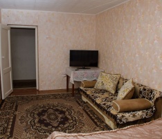 2-комнатная квартира на Дзержинского  3 (№ 579)